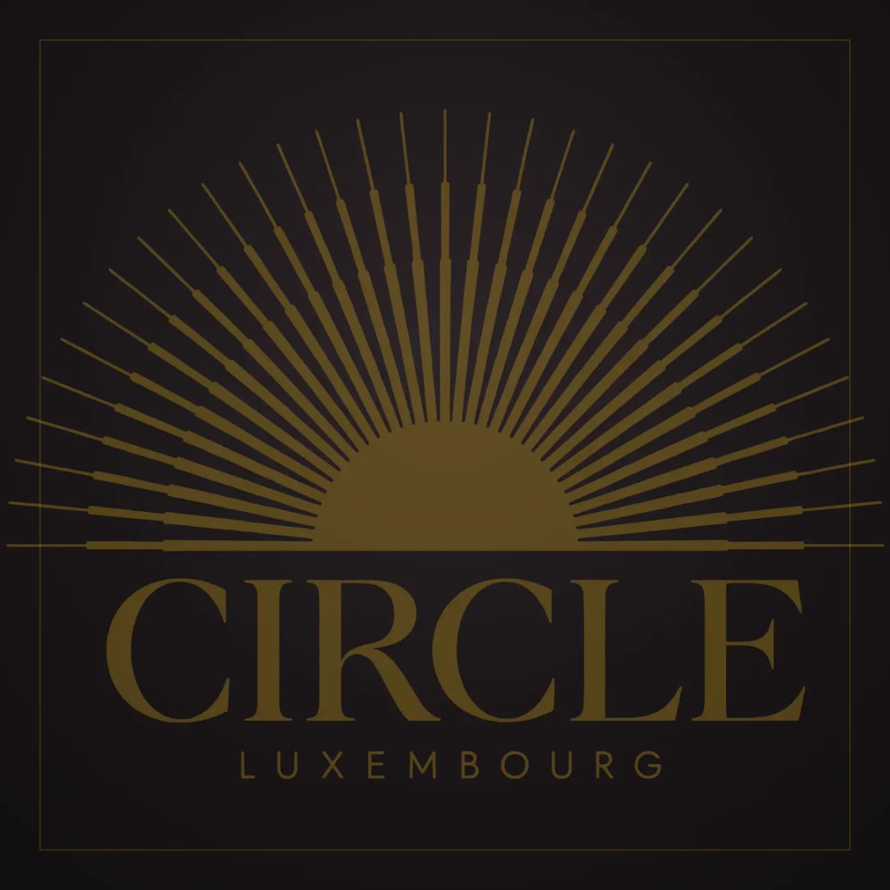 Vinyle, CIRCLE Sessions